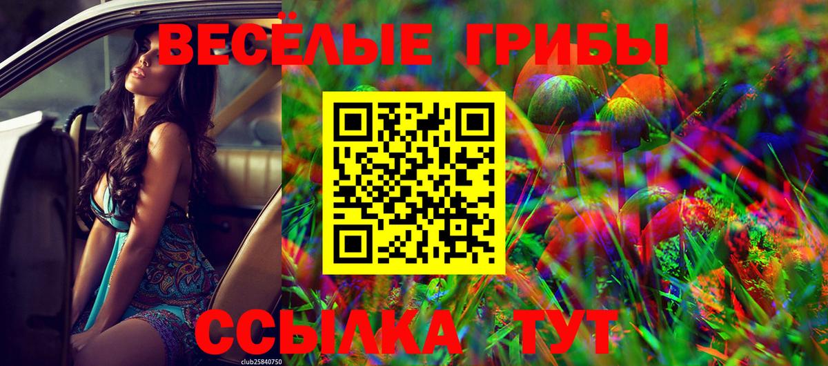 Нижнеудинск  Галлюциногенные грибы прущие грибы  Вход с VPN  даркнет сайт  Псилоцибиновые грибы мухоморы 